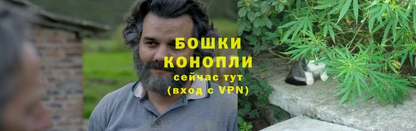 мет Бородино
