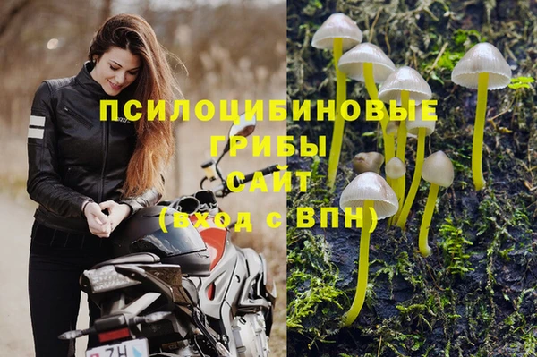 мескалин Бронницы