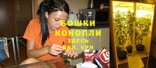 мескалин Бронницы